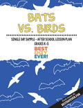 Bats vs. Birds After School Activity