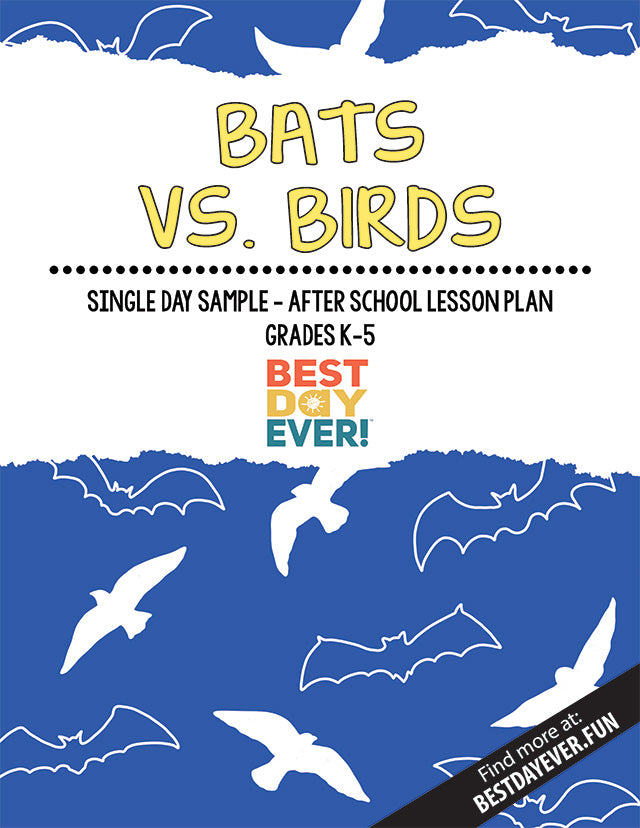 Bats vs. Birds After School Activity