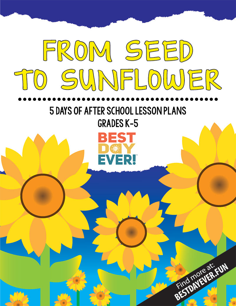 From Seed to Sunflower After School Activities