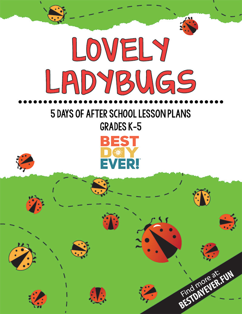 Lovely Ladybugs After School Activities